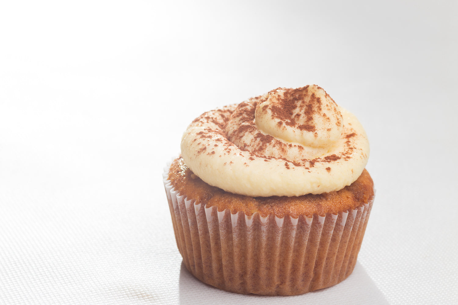 Birthday Cupcake with Frosting